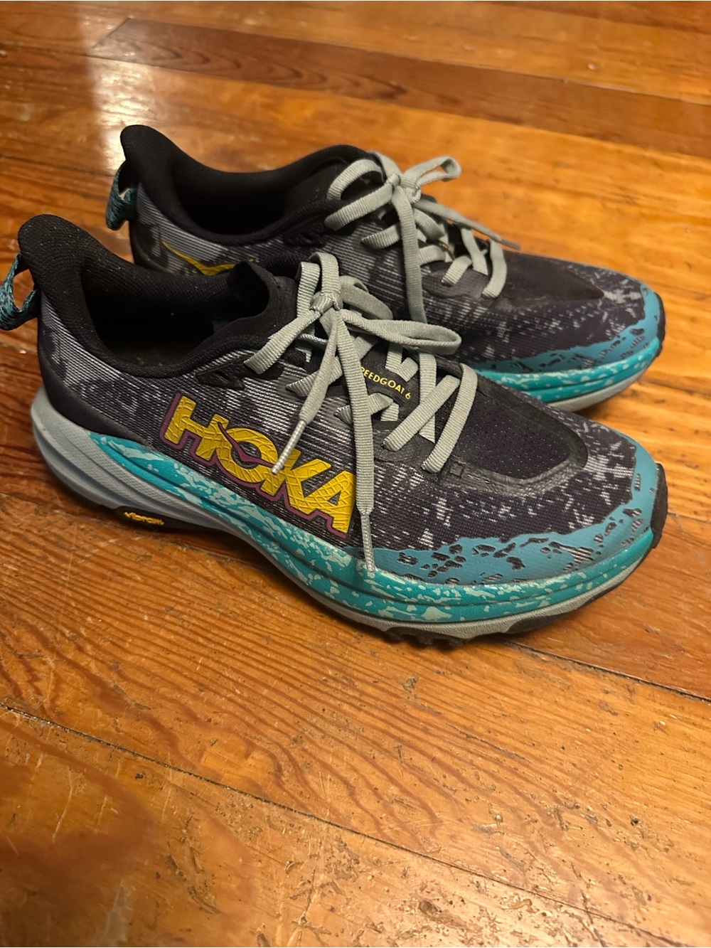 Hoka speedgoat 6